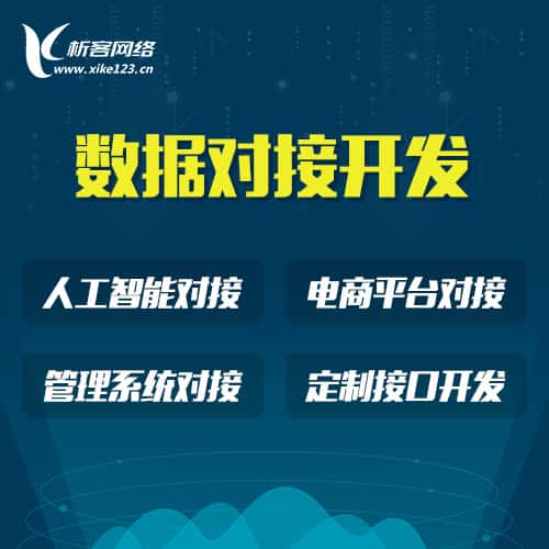 郑州智能数据对接