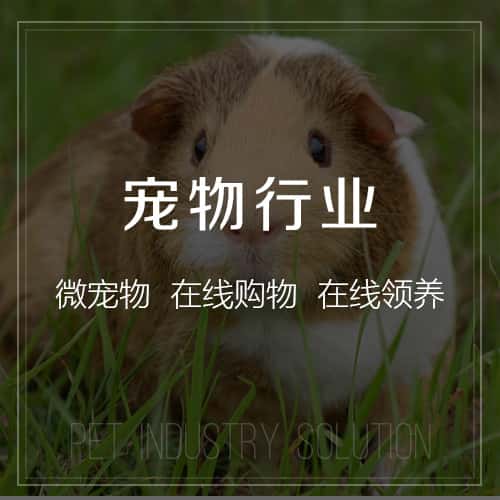 郑州宠物