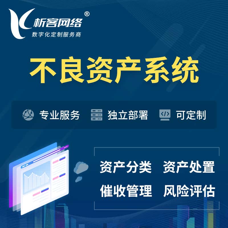 郑州不良资产管理系统