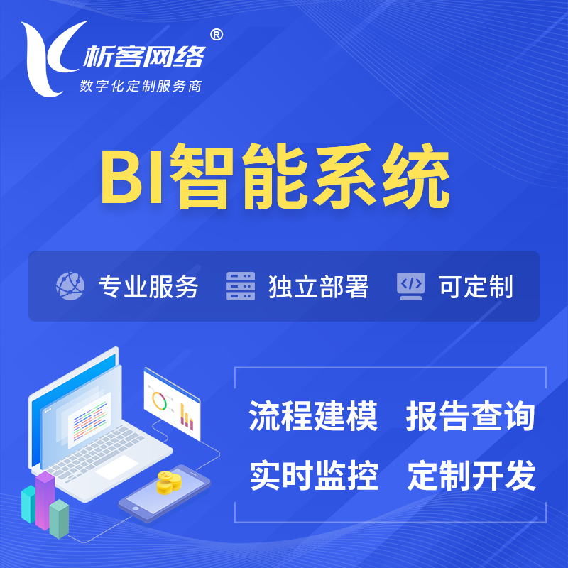 郑州BI智能系统 | BI数据可视化